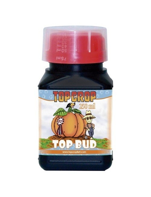 Top Bud