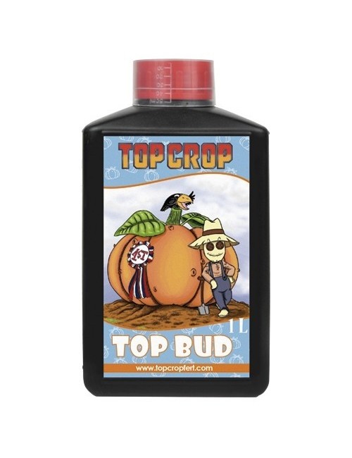 Top Bud