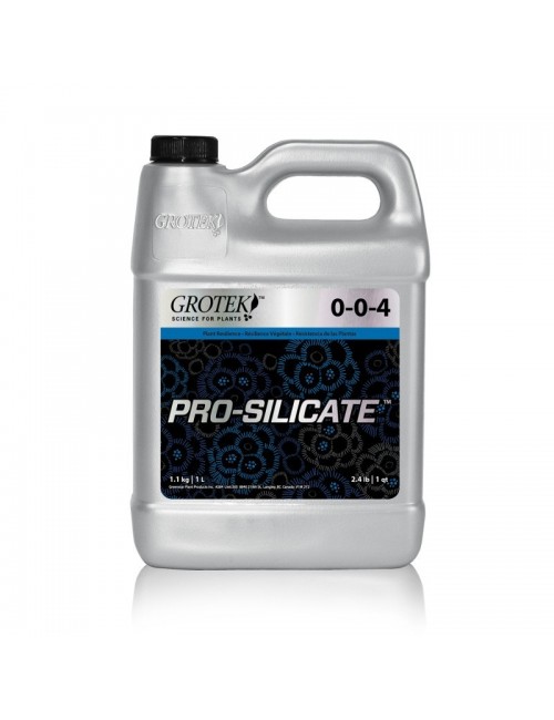 Pro Silicate