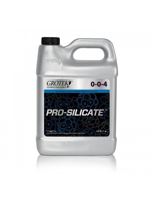 Pro Silicate