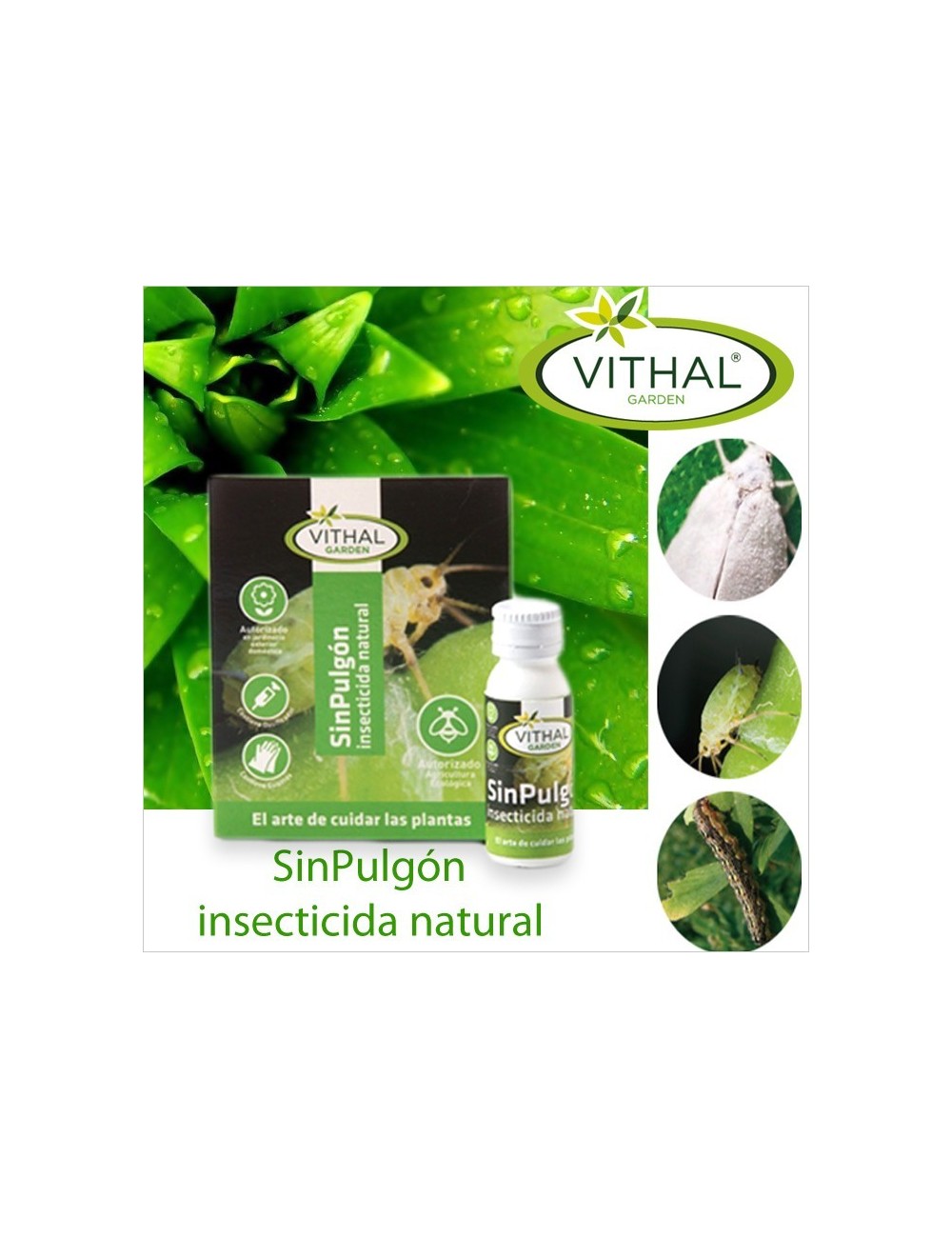 Insecticida Natural Sinpulgón Insecticida Natural Sinpulgón