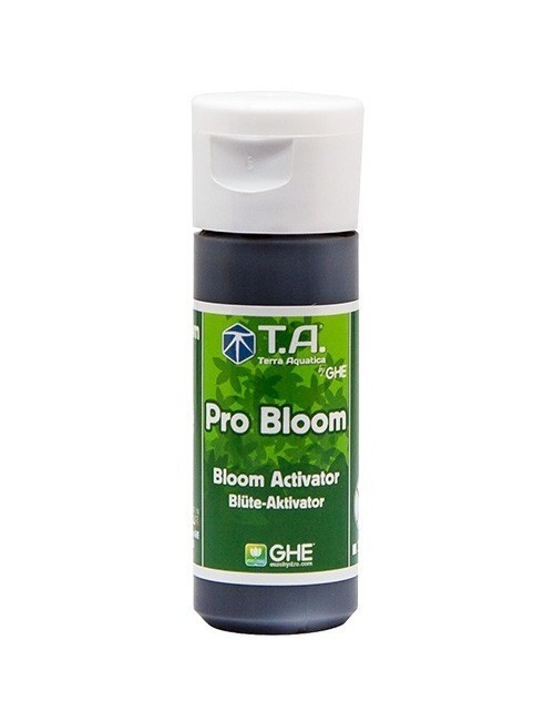 Pro Bloom