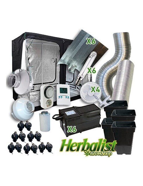 Kit Cultivo Herbalist 290X290X200cm