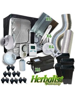 Kit Cultivo Herbalist 290X290X200cm