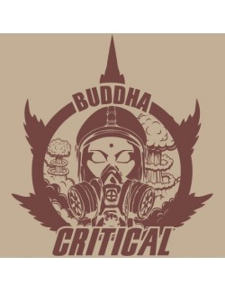 Budhha Critical