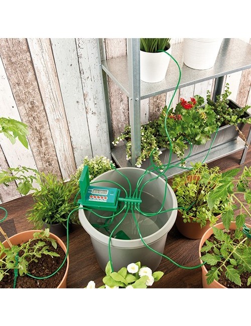 Sistema de Riego Automático Wassertech (10 plantas)