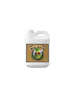 Big Bud Coco 250ml