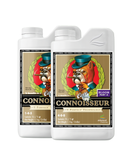 Connoisseur Coco Bloom A+B