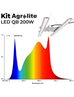 Kit Agrolite LED QB 200w grafica rendimiento