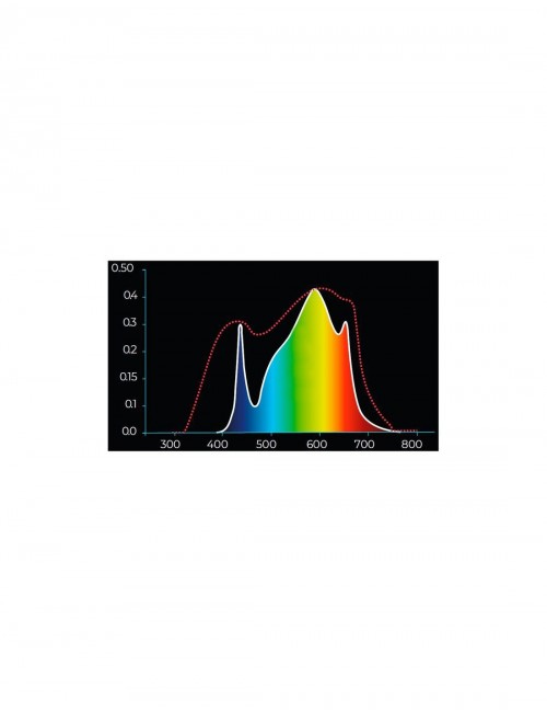 LED Super Star Solux 60w frontal