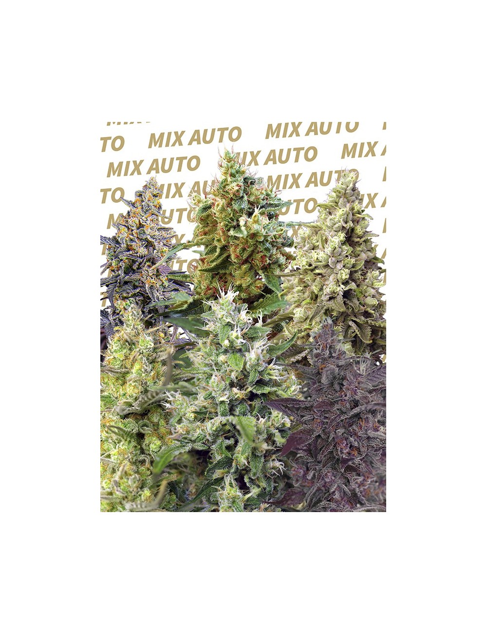 Sweet Mix Auto Sweet Mix Auto