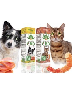 Aceite CBD para mascotas