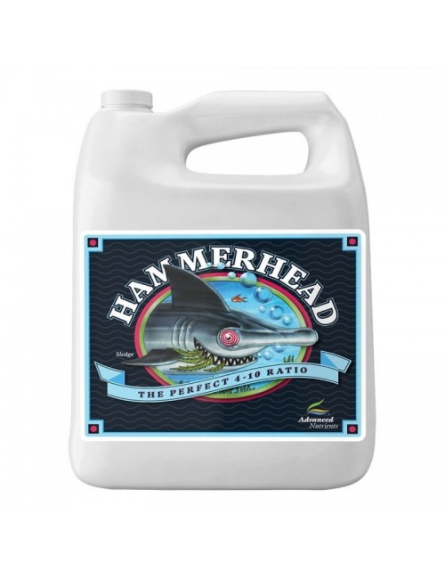 Hammerhead 500ml