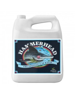 Hammerhead 500ml