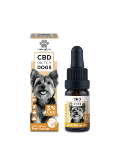 Aceite CBD para mascotas 5% 10ml