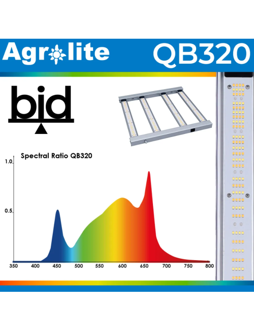 LED QB 320W bid Agrolite