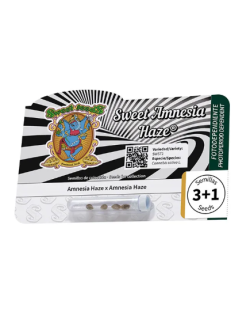 Sweet Amnesia Haze paquete