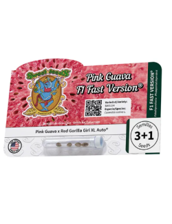 Pink Guava F1 Fast Version paquete