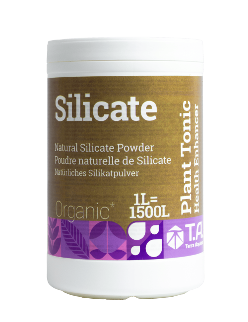 Silicate 1L
