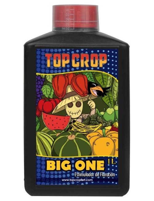 Big One de Top Crop