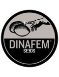 Dinafem