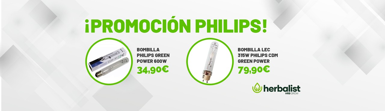 banner-phillips